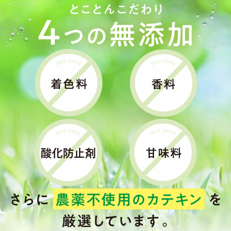 カテキン減脂粒 DMJえがお生活 日本製 31日分 カテキン サプリ お腹の 