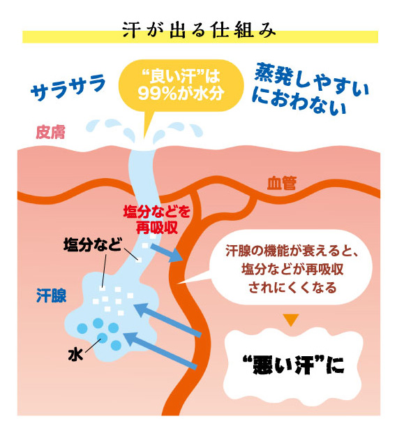 汗腺をきたえて 良い汗 をかくために大切なこととは 健康情報 Dmjえがお生活 公式通販サイト 自然由来の健康食品 サプリメント 化粧品などを心を込めてお届けします 汗腺をきたえて 良い汗 をかくために大切なこととは 健康情報 Dmjえがお生活 公式通販サイト 自然由来の健康食品 サプリメント 化粧品などを心を込めてお届けします