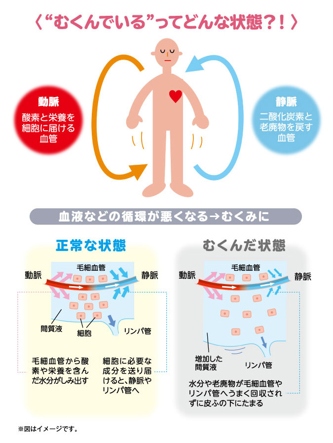 足 の むくみ 夏